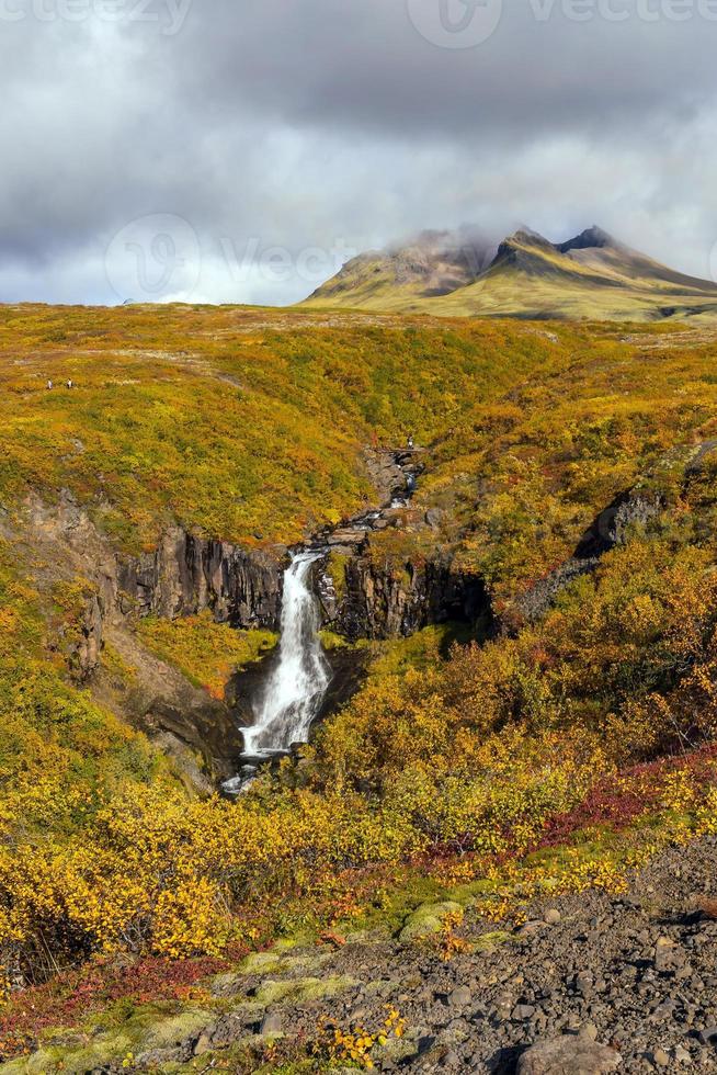 svartifoss in islanda foto