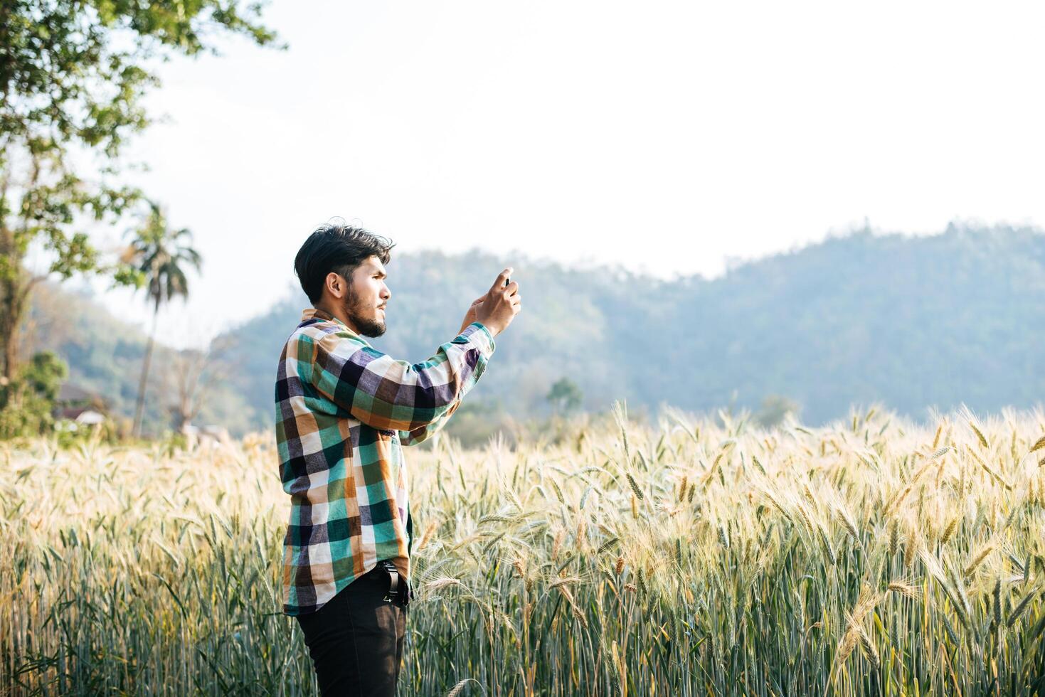 agricoltore intelligente che controlla la fattoria dell'orzo con il computer tablet foto