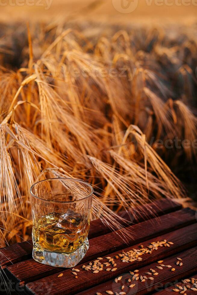 bicchiere di whisky con ghiaccio nel un' Grano campo foto