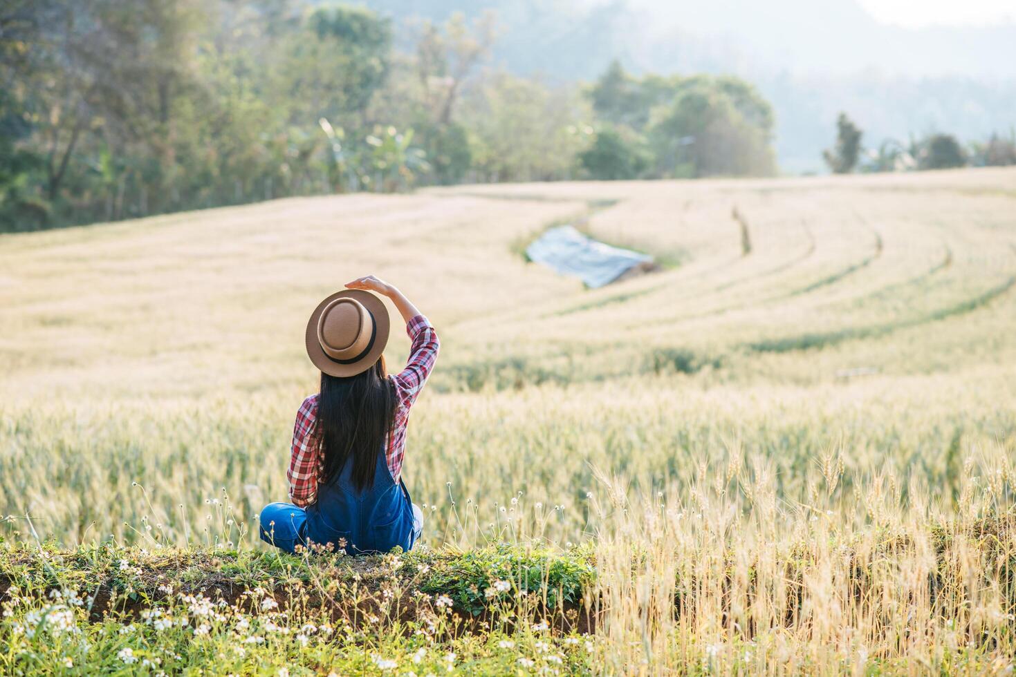 contadina con la stagione della raccolta del campo di orzo foto