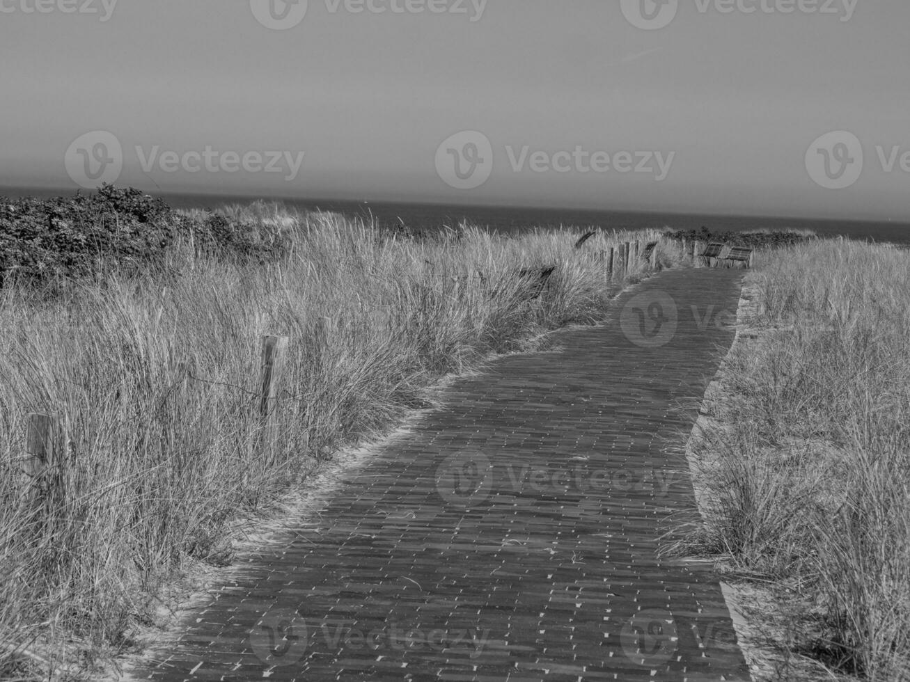 il isola di langeoog foto