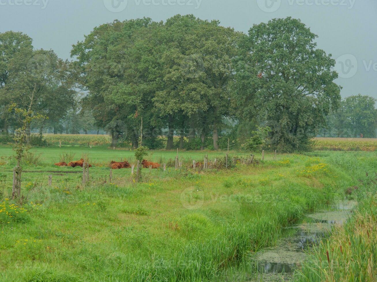 haakbergen nel il Olanda foto