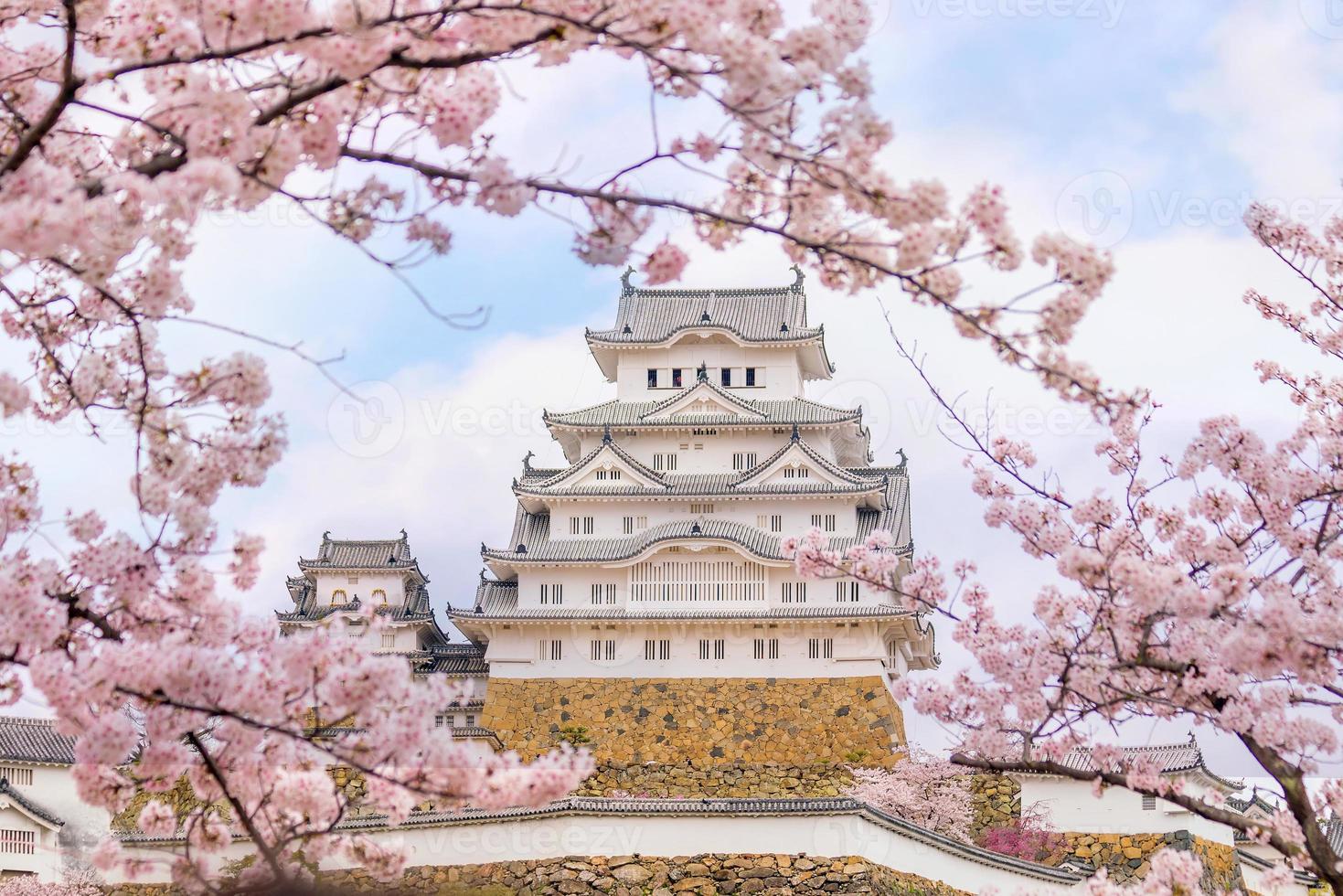 castello himeji con la stagione dei fiori di ciliegio sakura foto