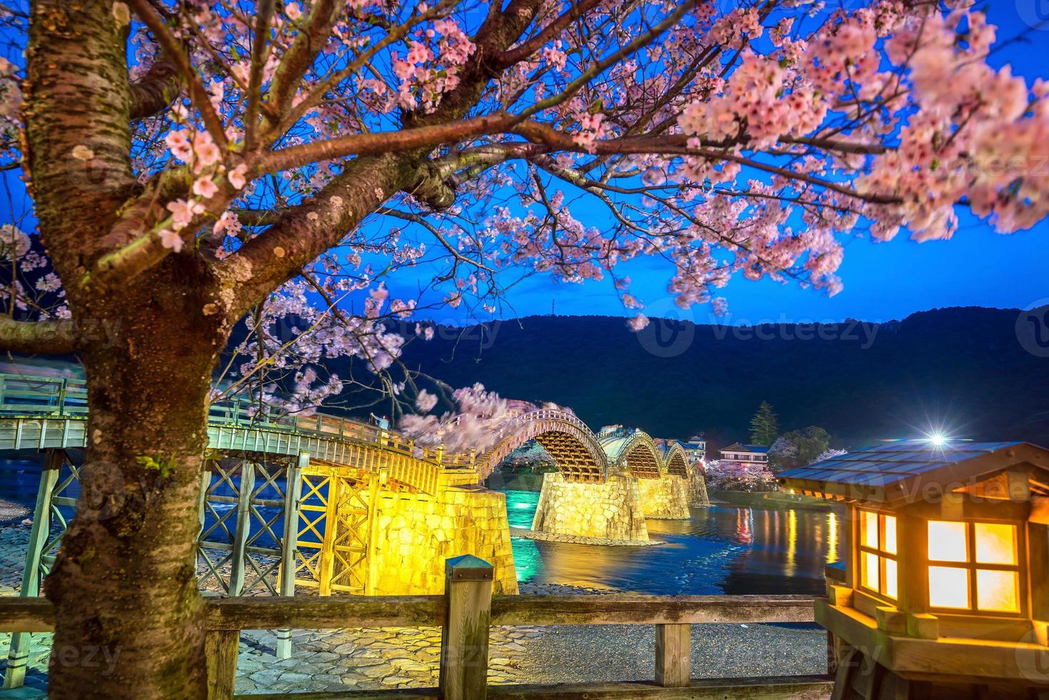 fiori di ciliegio in piena fioritura al ponte kintaikyo foto