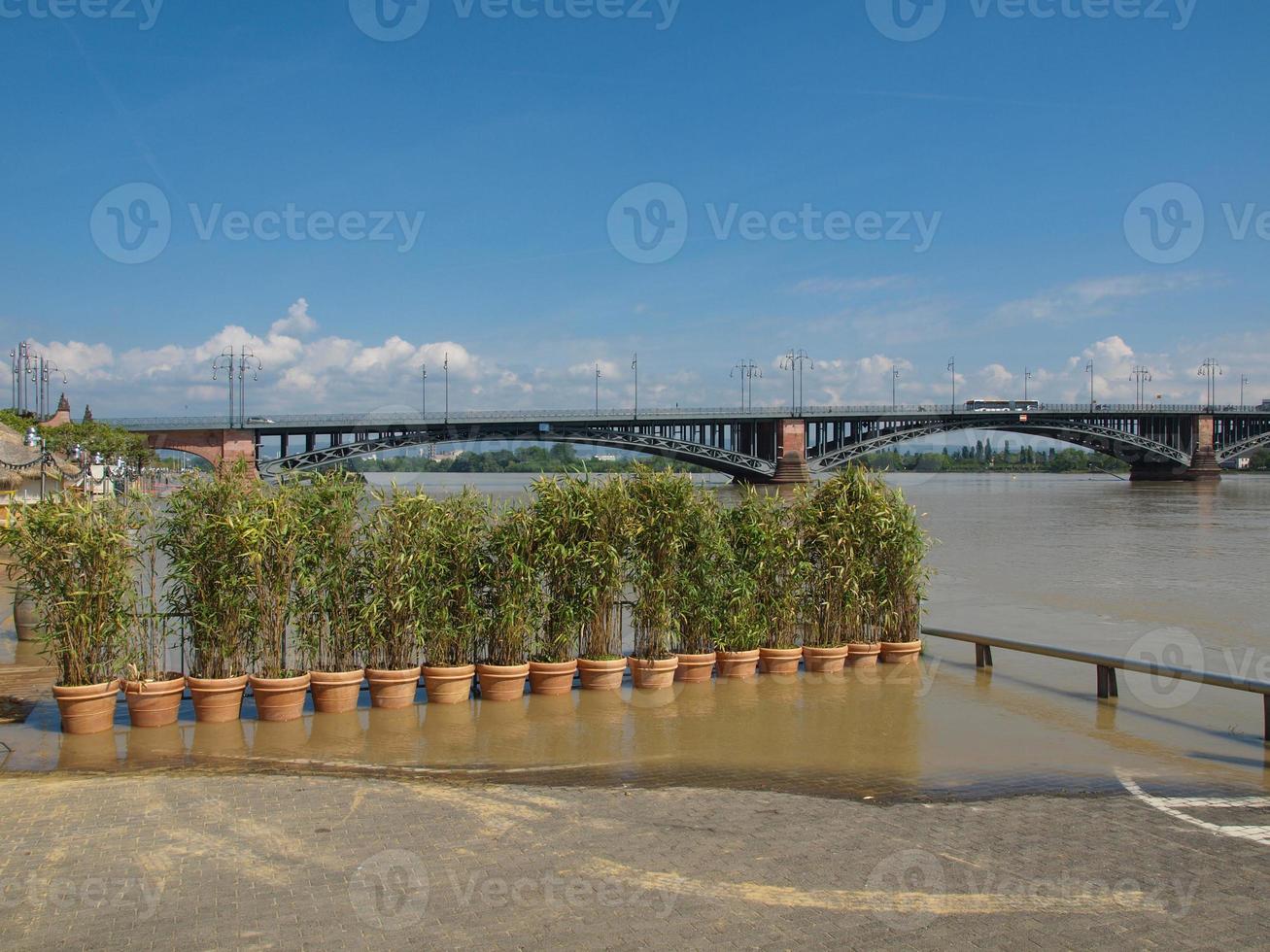 Inondazione del fiume Reno a Mainz, Germania foto