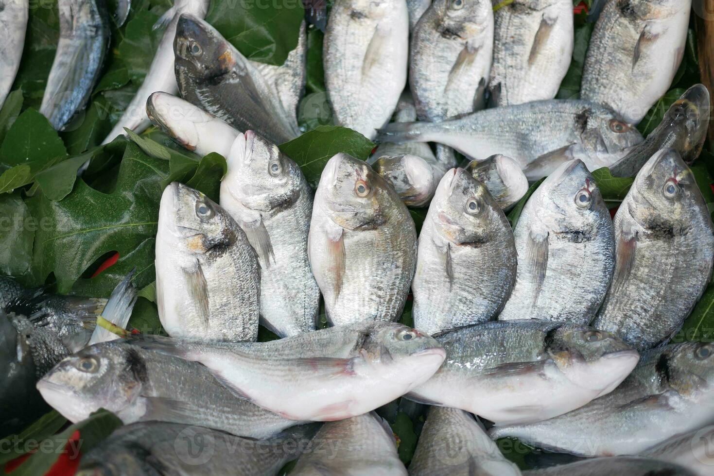 fresco pesce nel ghiaccio a Locale mercato negozio foto