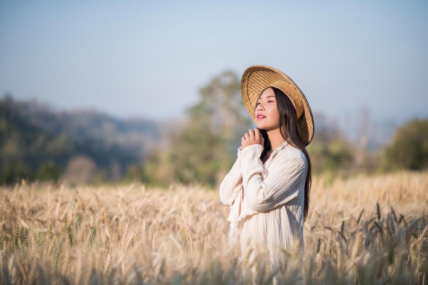 contadina vietnamita nel campo del raccolto di grano foto