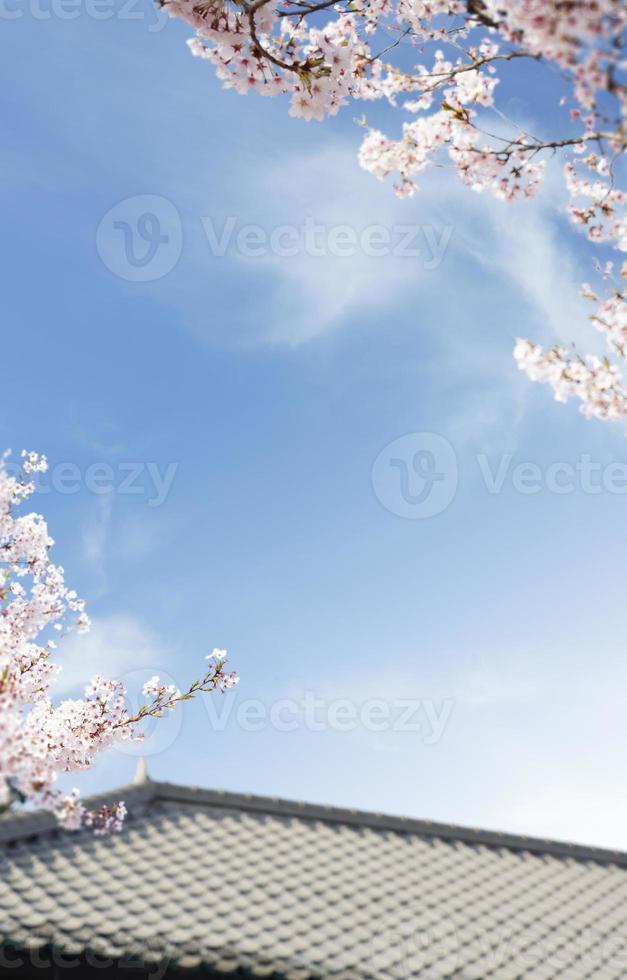 bellissimo sfondo di fiori primaverili, tema della stagione, ciao primavera foto