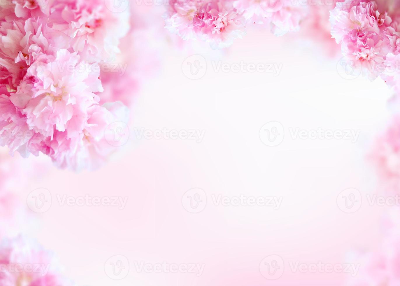 bellissimi fiori primaverili sfondo cornice, tema stagione, ciao primavera foto