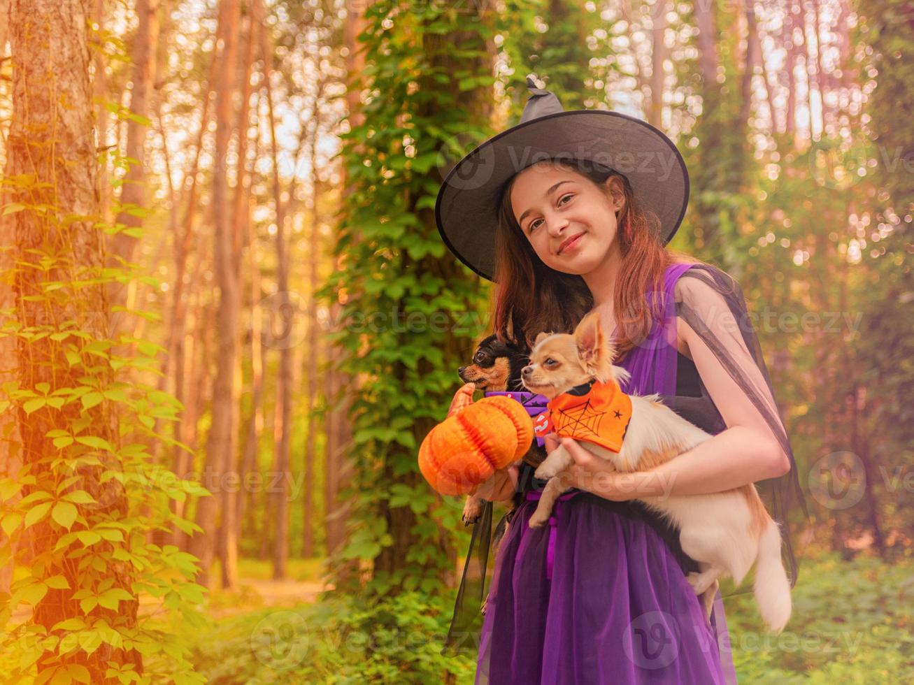 ragazza in costume di halloween con due cani chihuahua nella foresta foto
