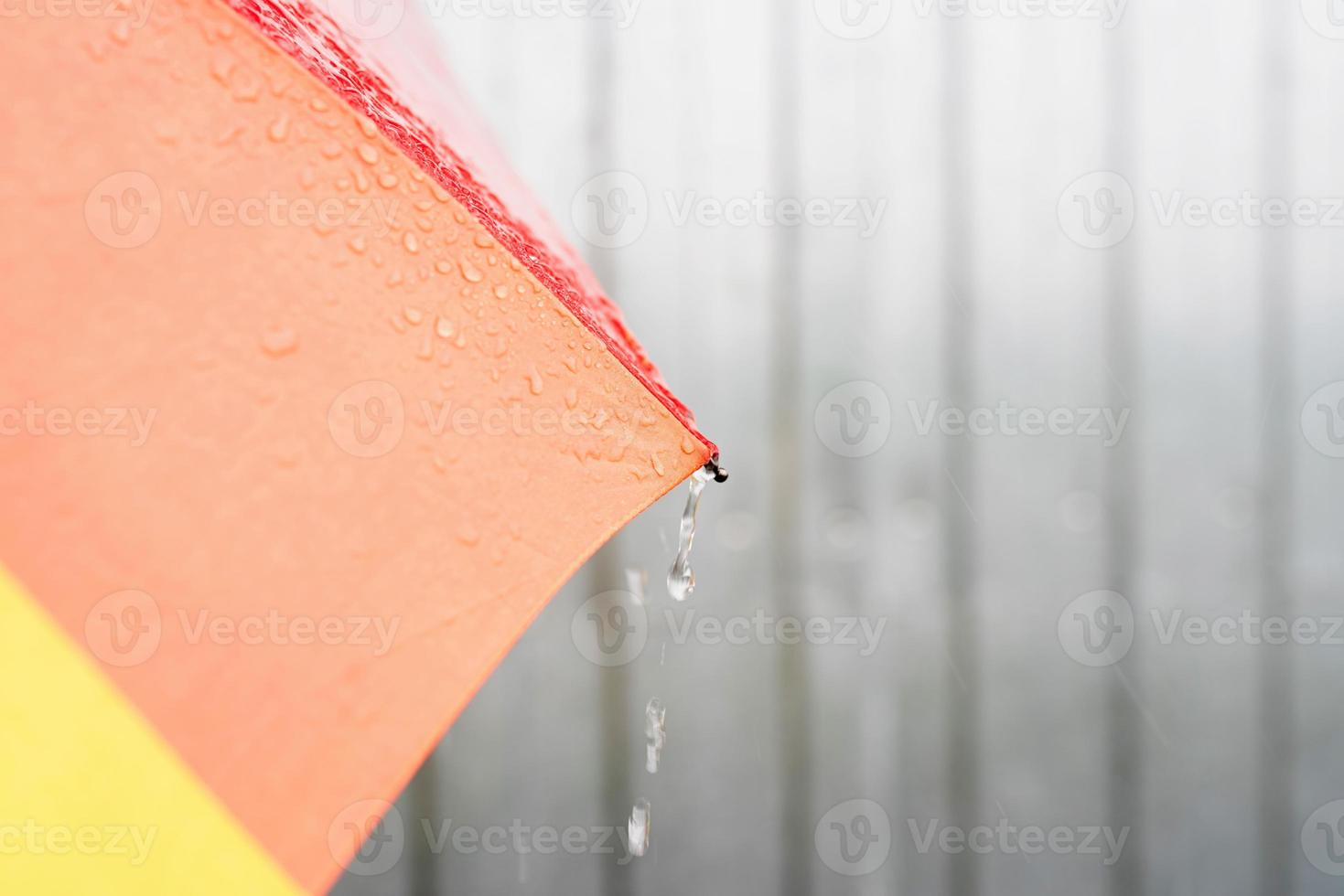 primo piano di un ombrello colorato con gocce di pioggia foto