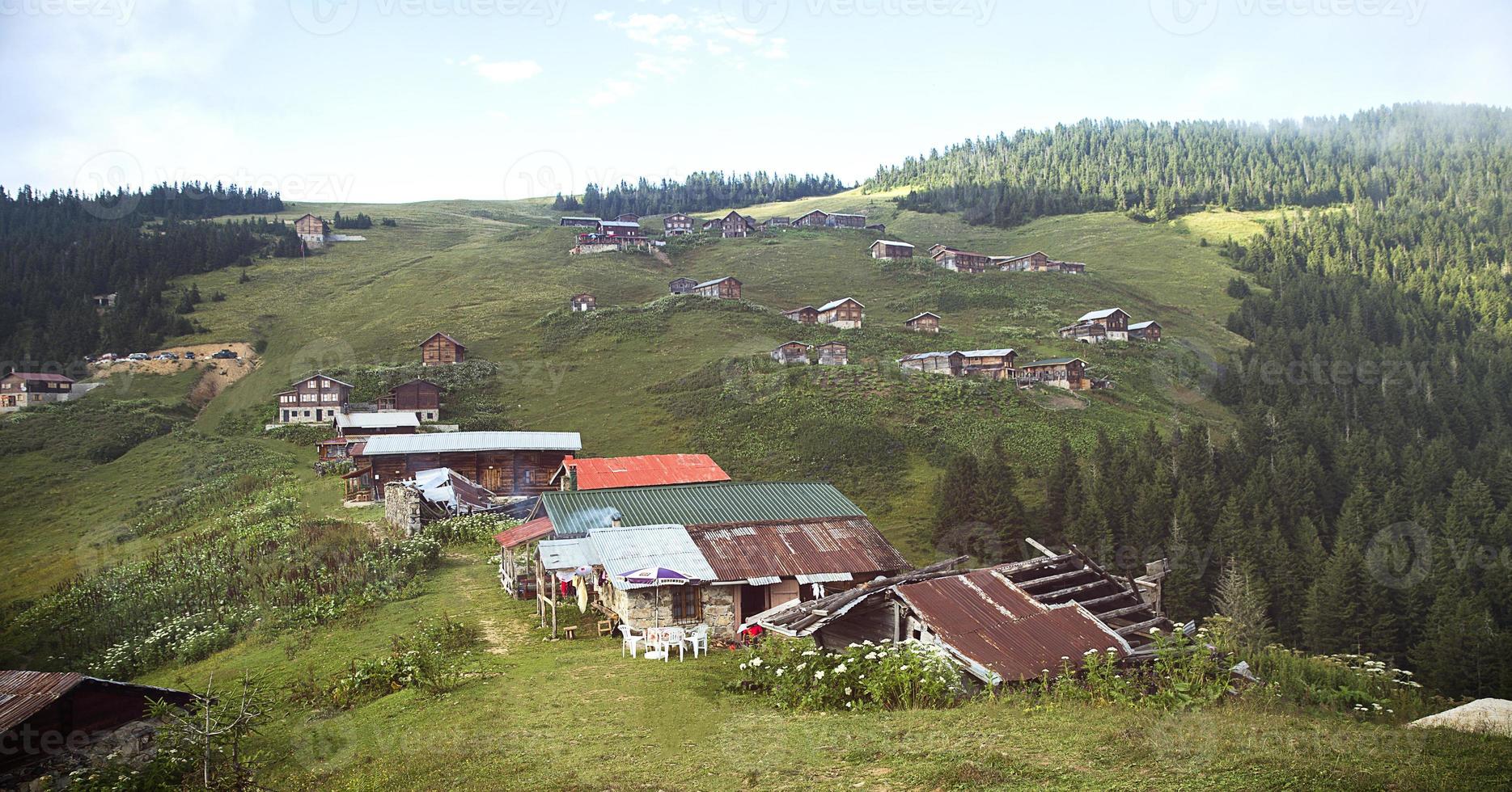 plateau pokut, camlihemsin, rize, tacchino foto