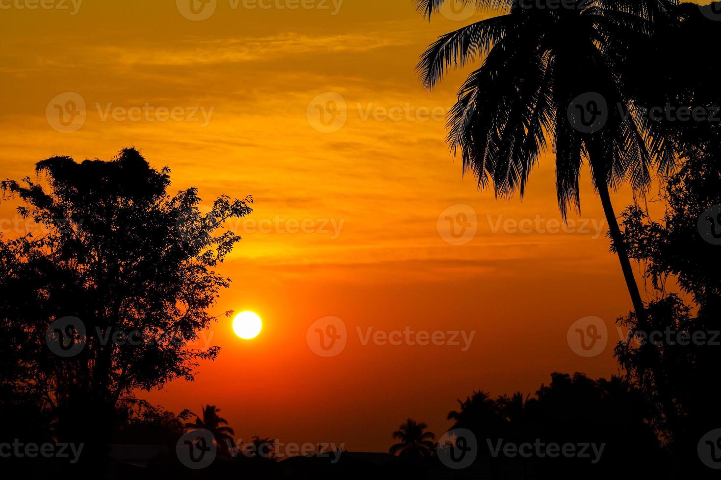 sagoma di alberi su sfondo bellissimo alba foto