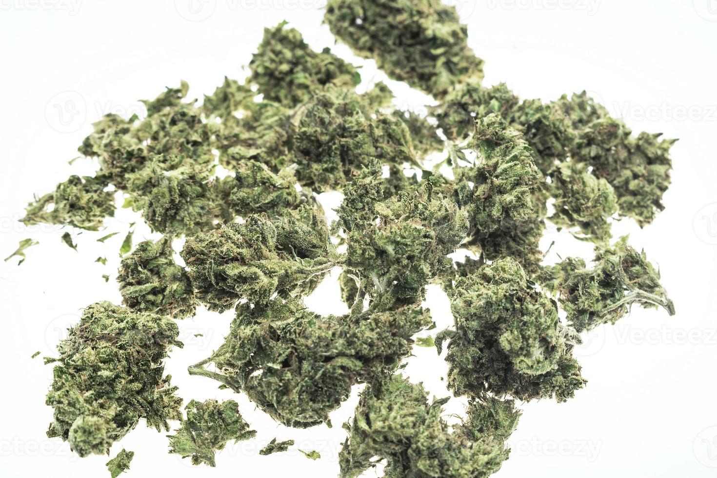 thai marijuana medica germogli di cannabis closeup su bianco studio background foto