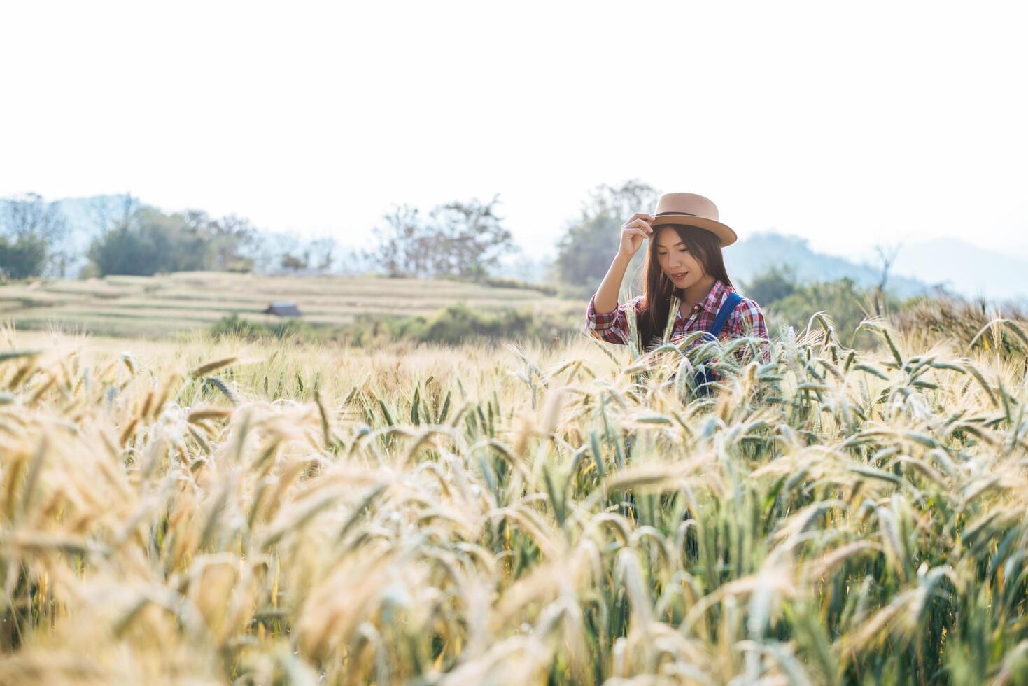 contadina con la stagione della raccolta del campo di orzo foto