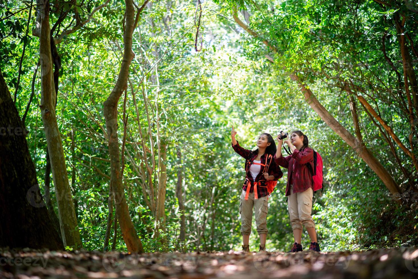 due giovani hipster femminili asiatiche che fanno un'escursione nella foresta foto