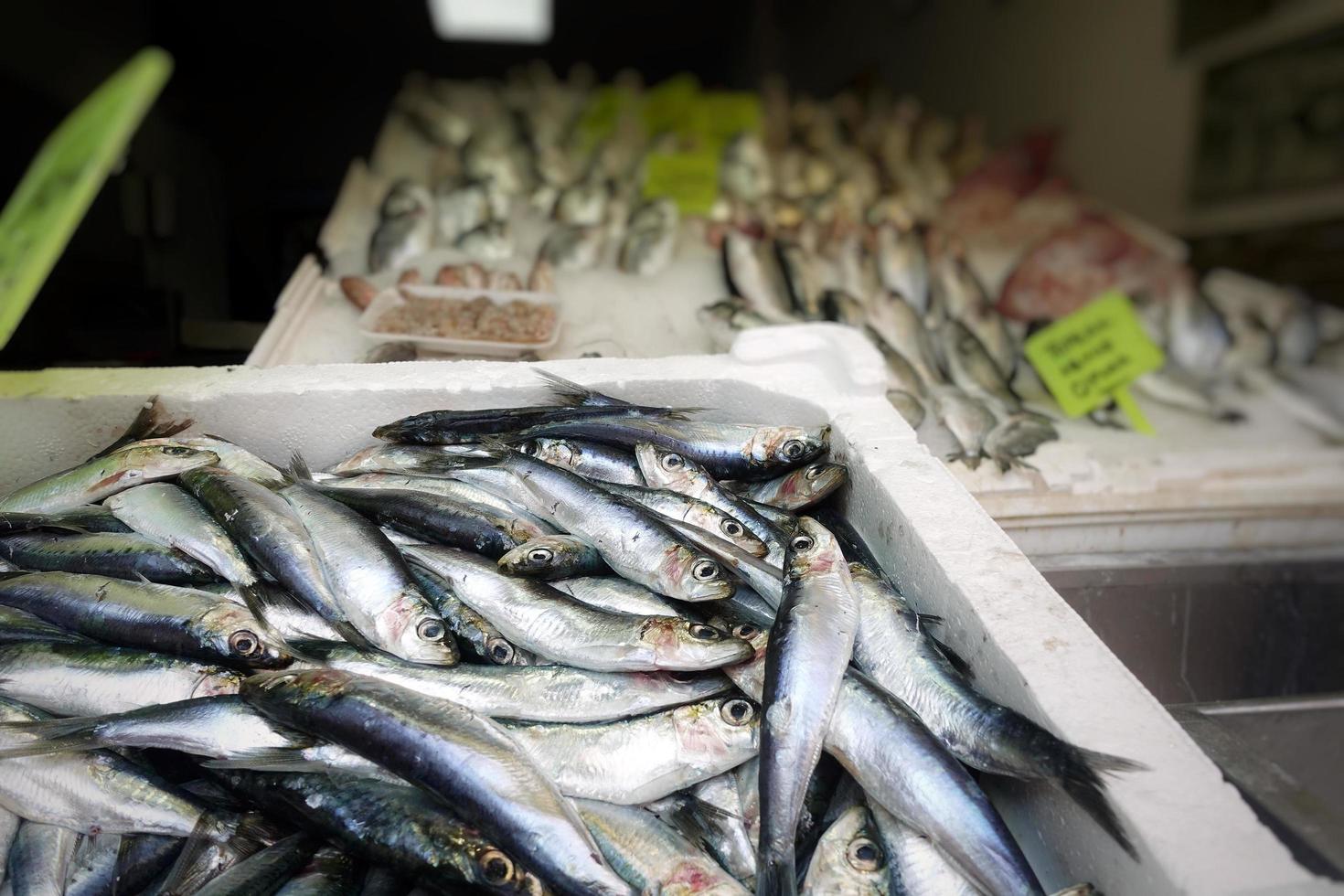 cibo per pesci in una bancarella del mercato del pesce foto