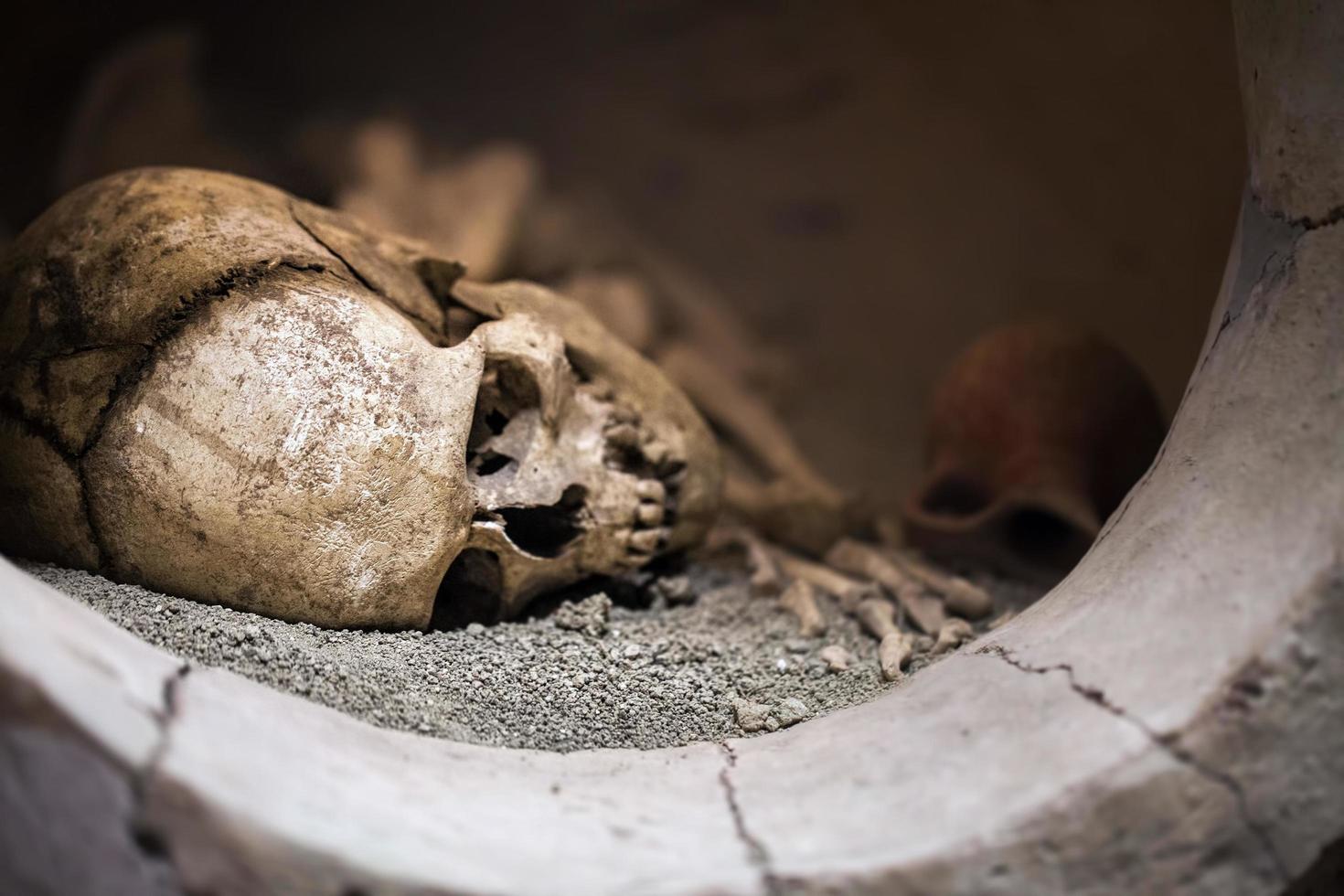 ossa e cranio dello scheletro della morte umana foto