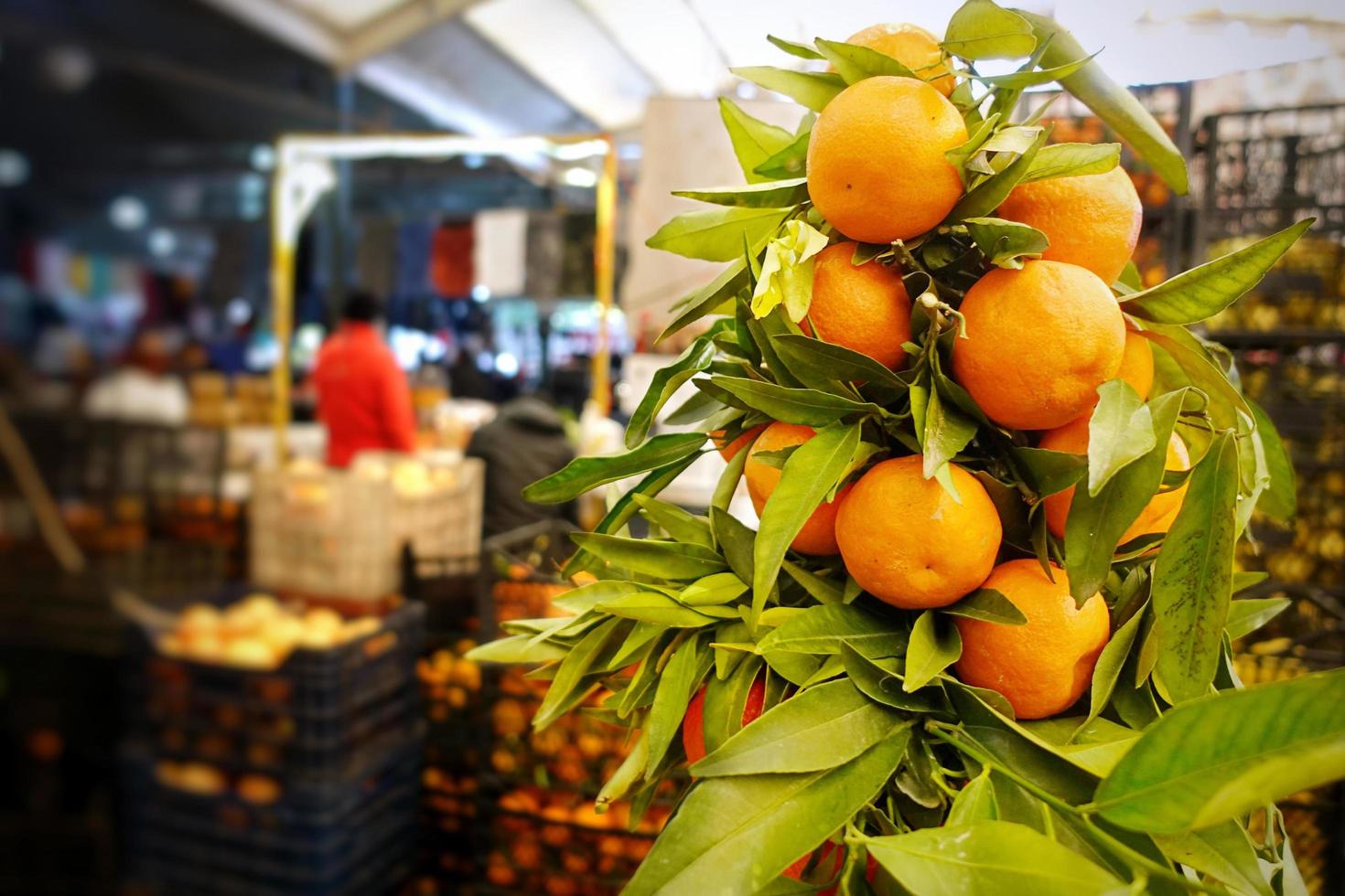frutta fresca succosa mandarino foto