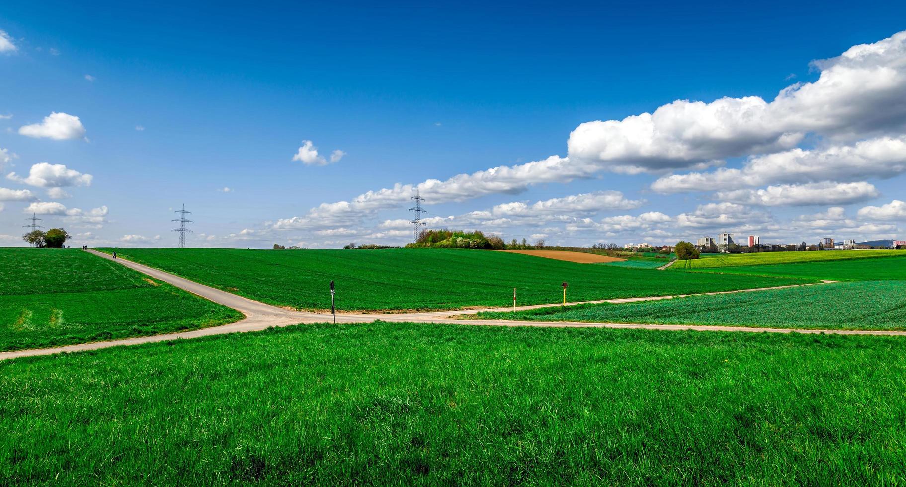 paesaggio di campi verdi e cielo foto