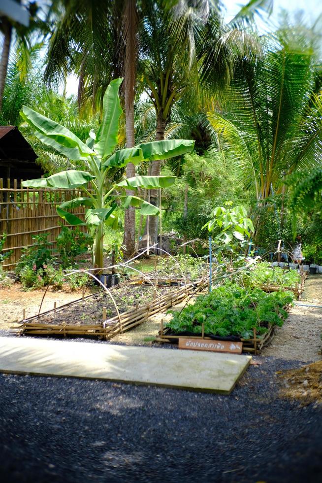 bel verde, vivere in giardino foto