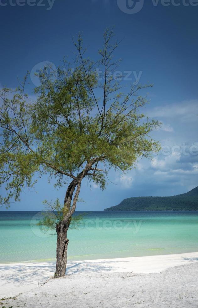 lunga spiaggia nel paradiso tropicale isola di Koh Rong vicino a Sihanoukville Cambogia foto