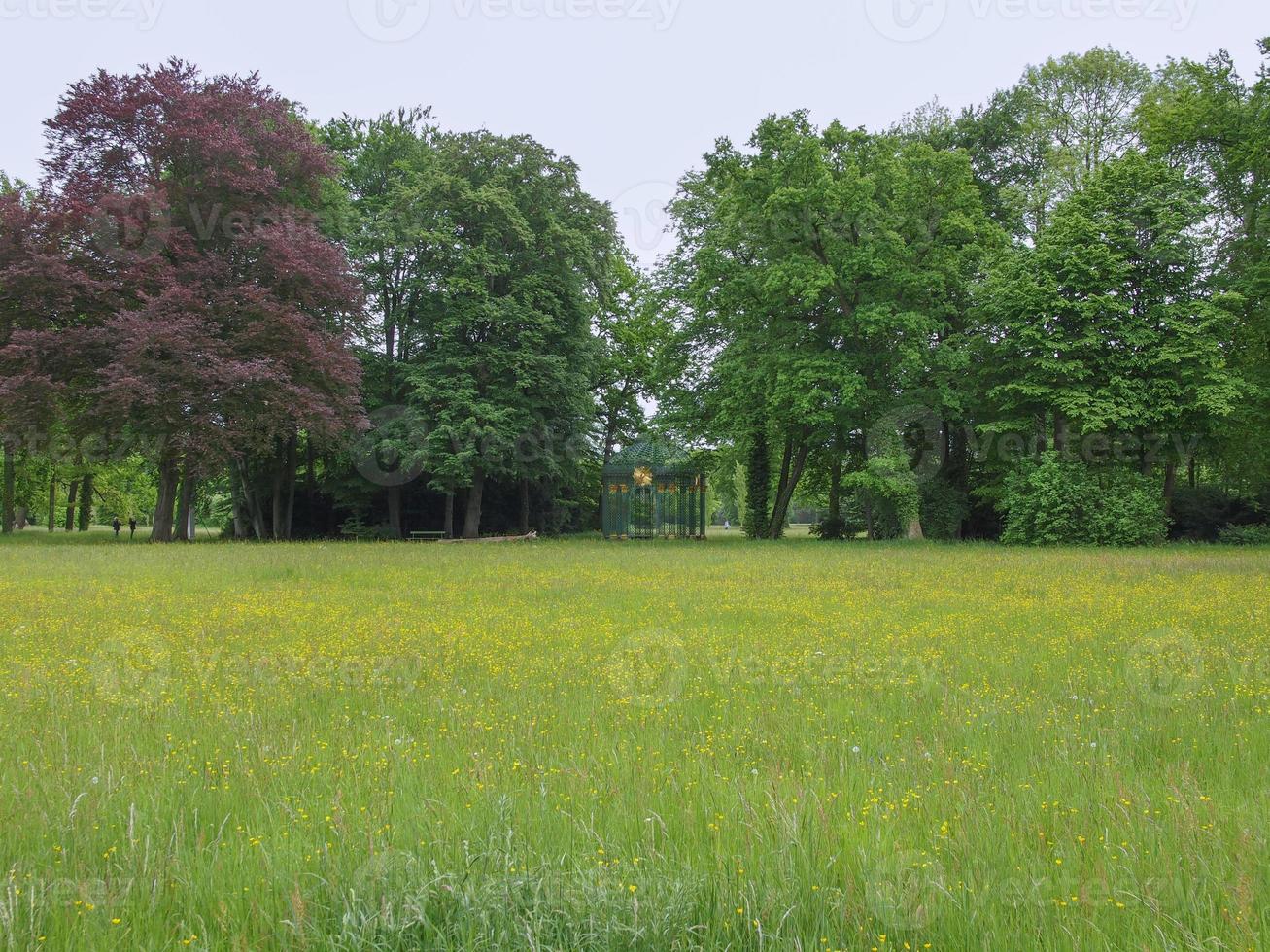 parco sanssouci a potsdam foto