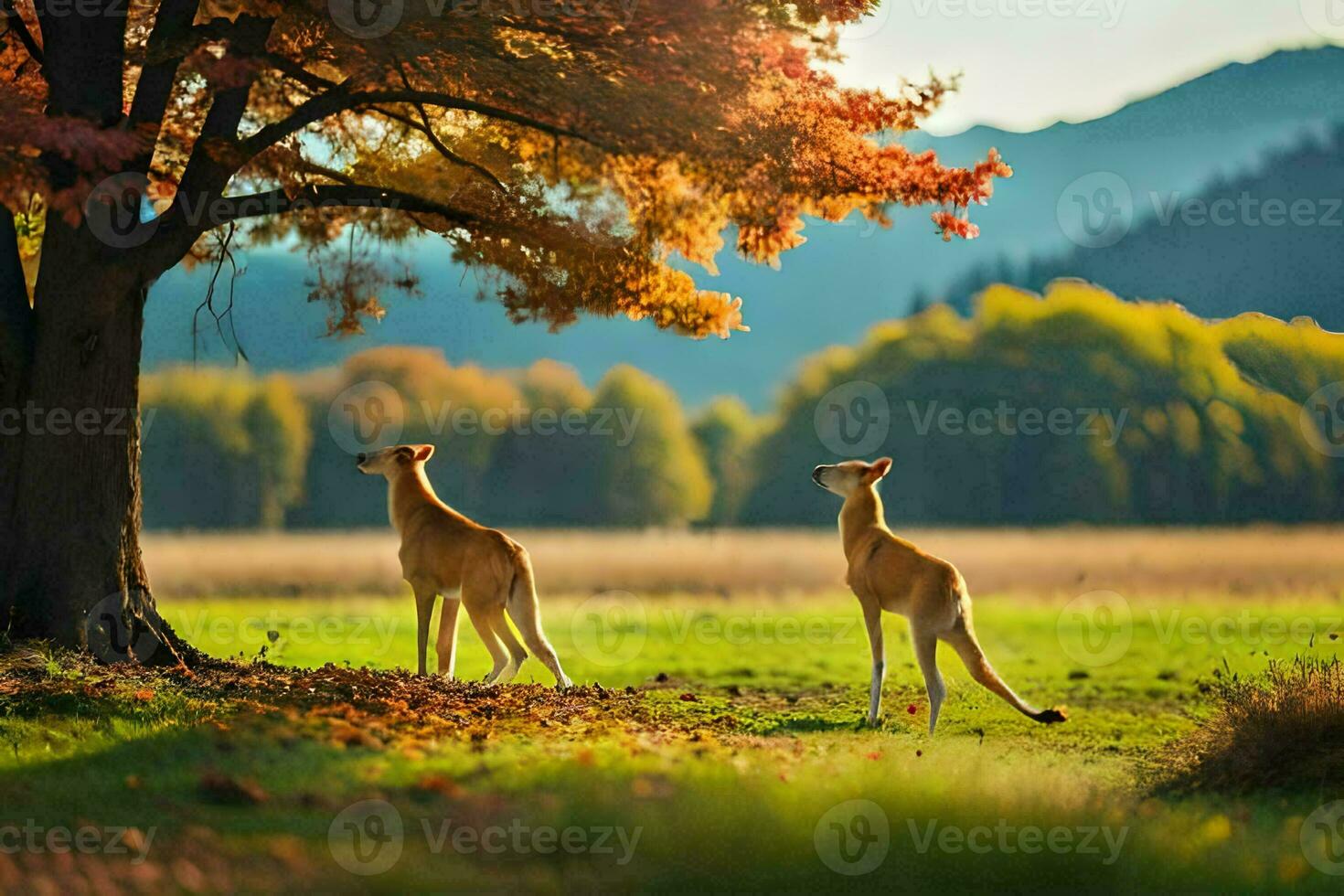 Due canguri nel il autunno. ai-generato foto