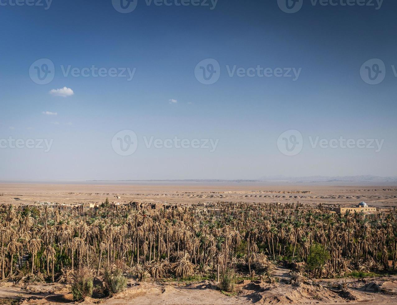 Vista del paesaggio del deserto nell'oasi di Garmeh vicino a Yazd Iran meridionale foto