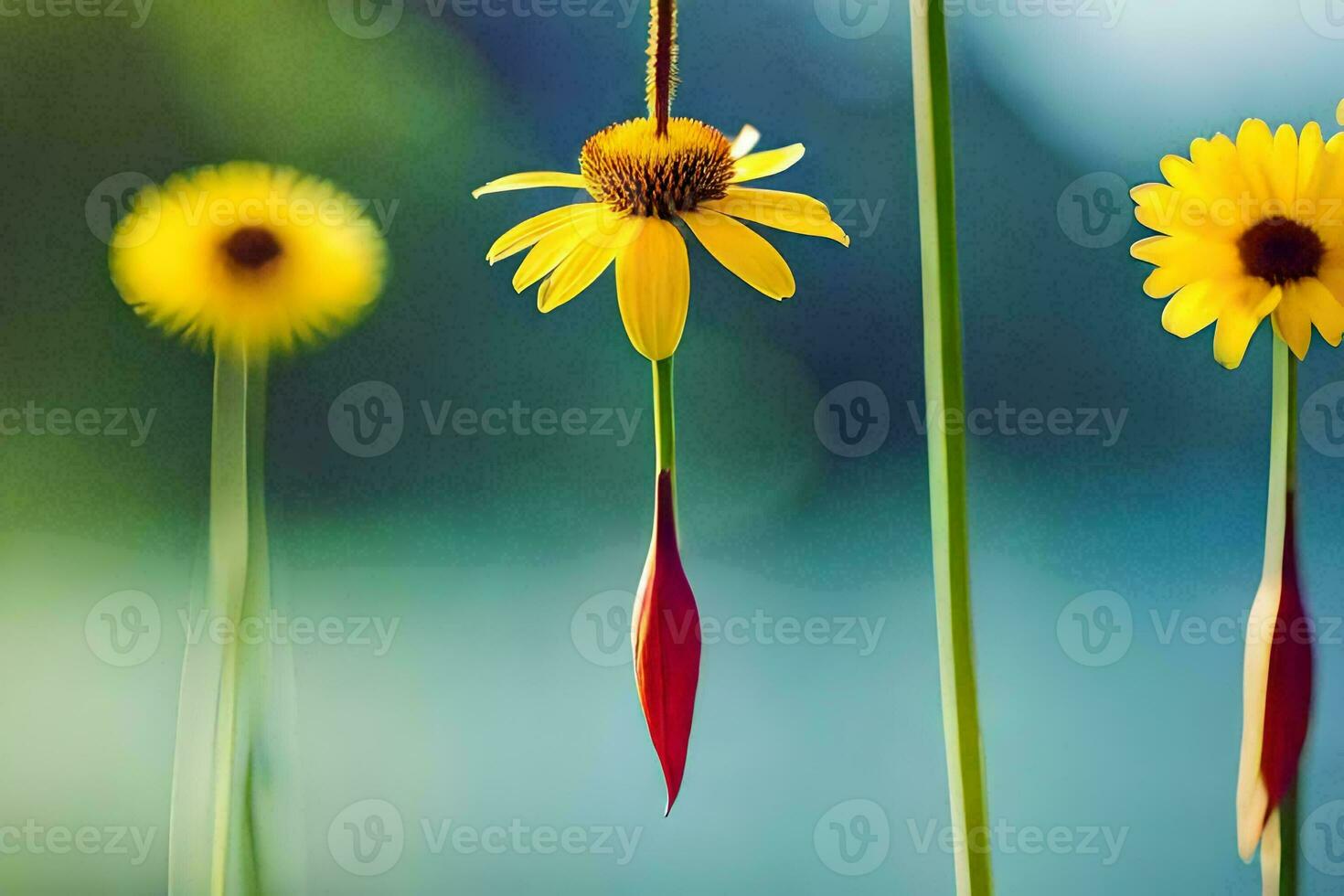 giallo fiori nel il erba, natura, natura HD sfondo. ai-generato foto