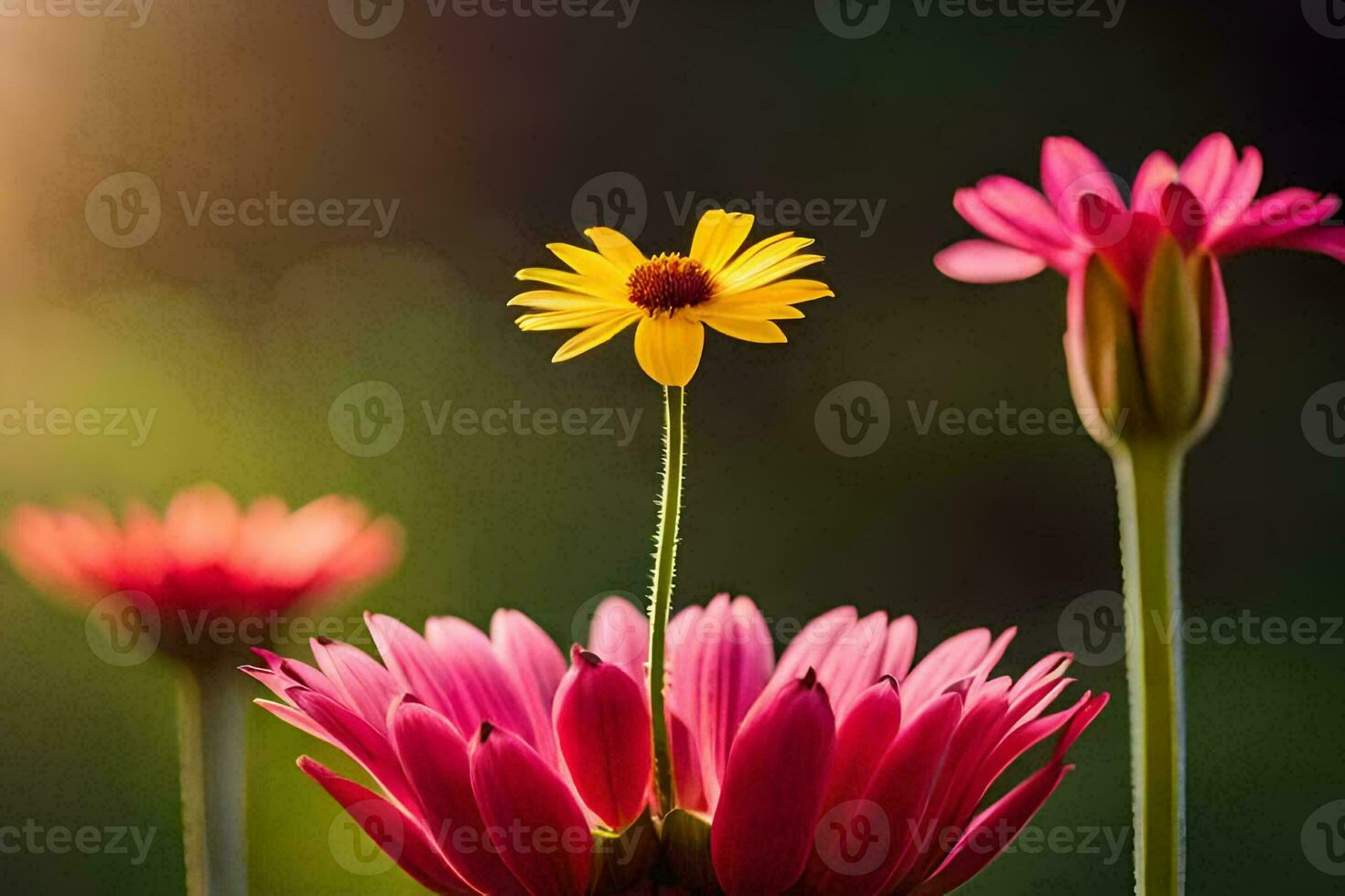 un' fiore è in piedi nel davanti di un' rosa fiore. ai-generato foto