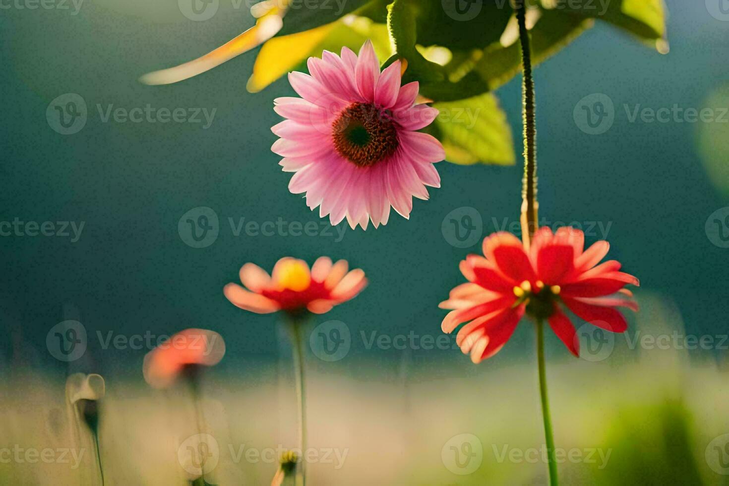 Due rosa fiori siamo nel il sole. ai-generato foto