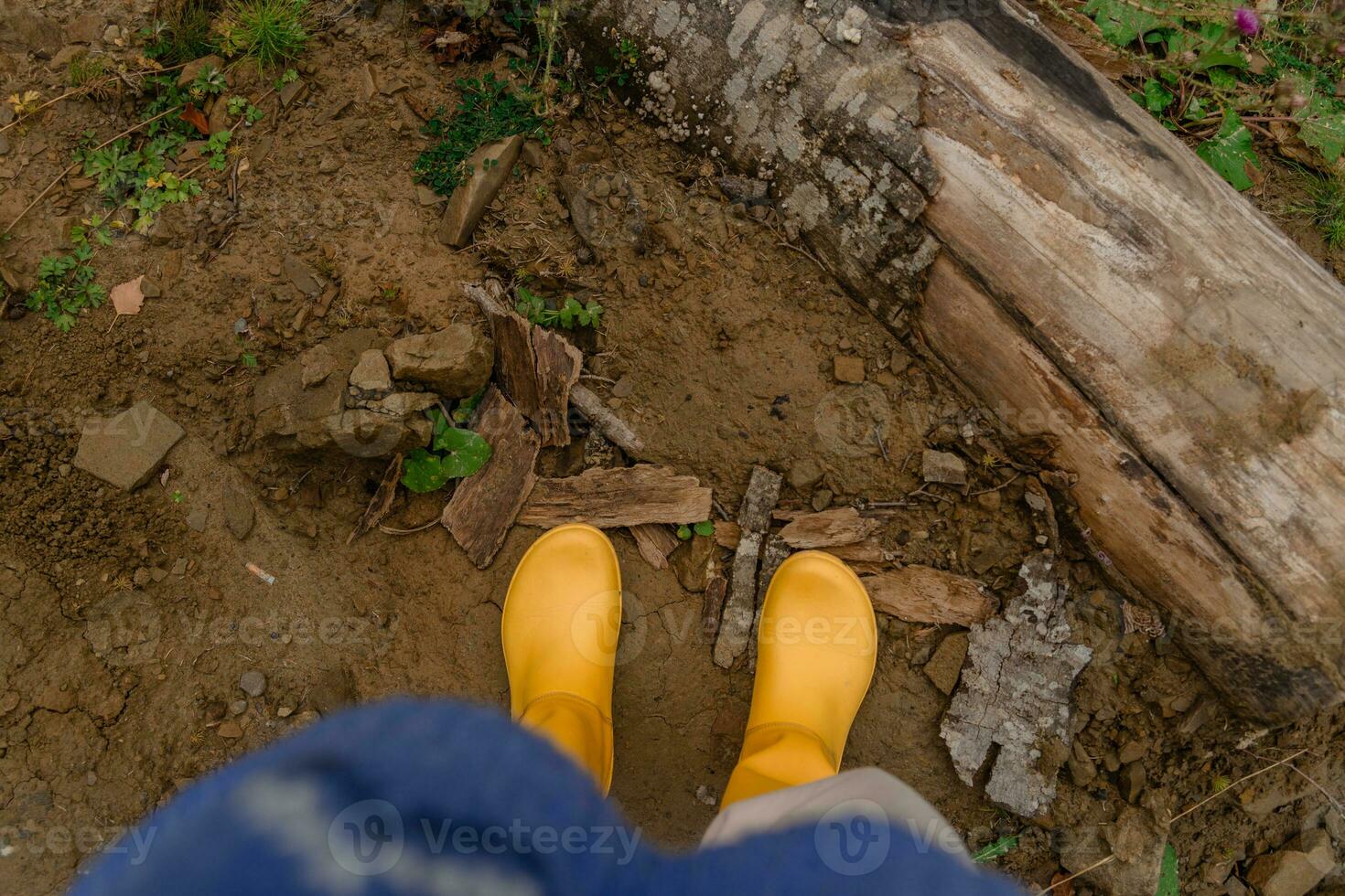 femmina gambe nel giallo gomma da cancellare stivali mentre escursioni a piedi nel il montagne. autunno Locale viaggio. foto