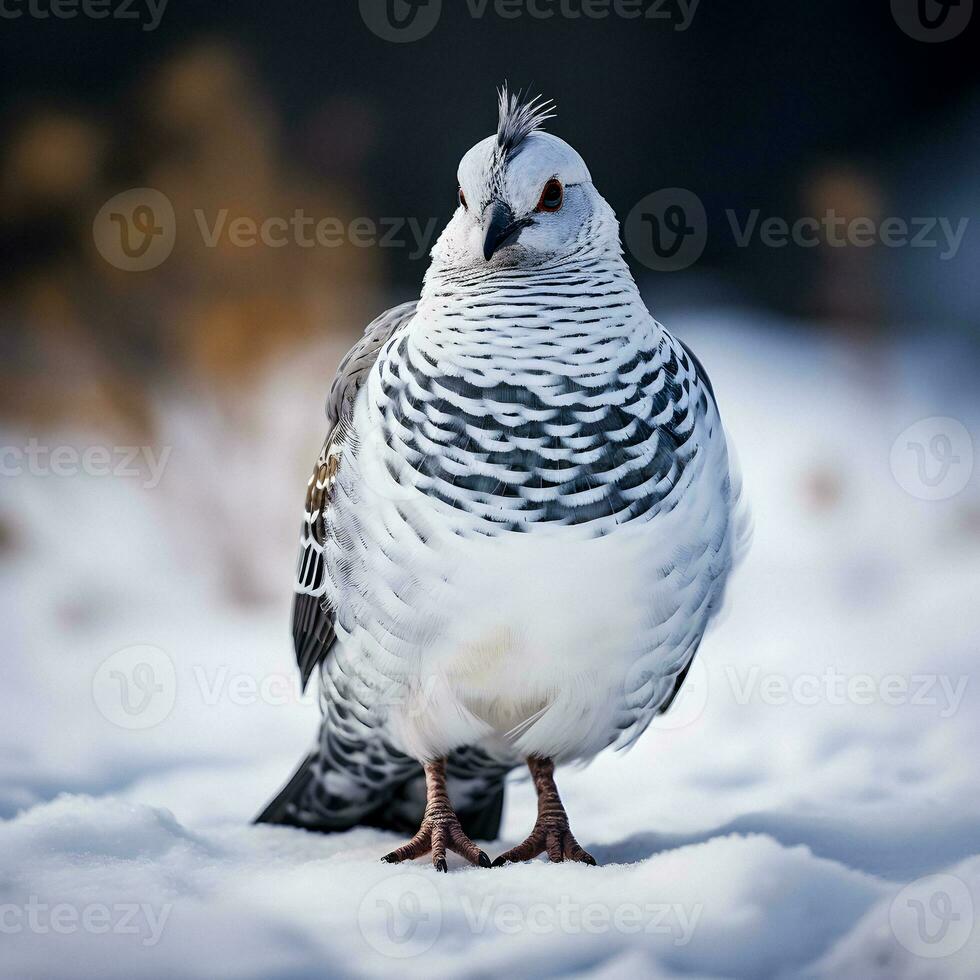 nevoso serenità un' generativo ai pernice bianca nel inverno Paese delle meraviglie foto