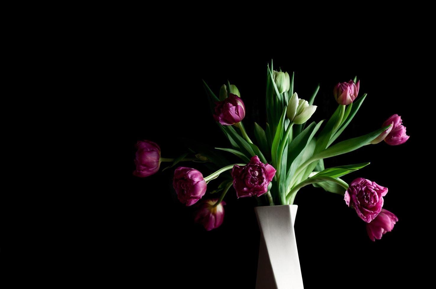 bellissimi fiori in vaso arte low key copia spazio foto