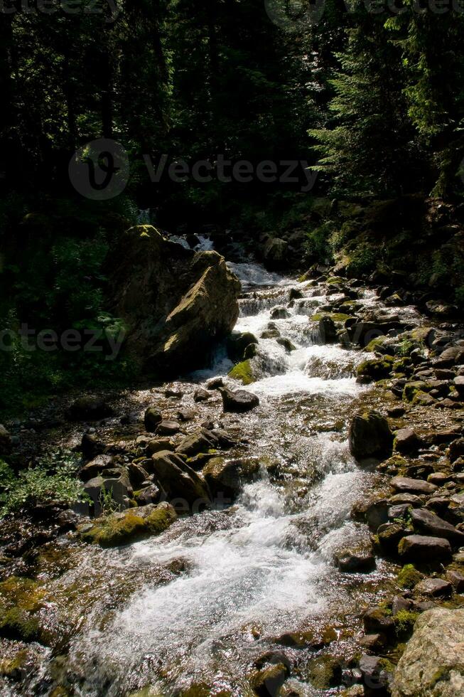 sereno alpino fiume nel belledonne, isere, Francia foto