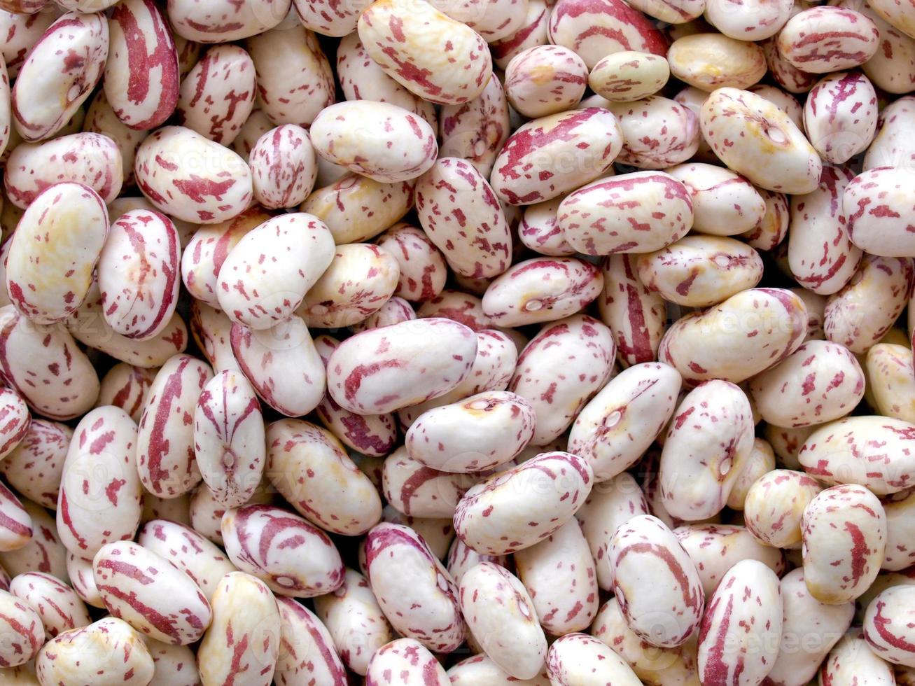 fagioli cremisi, cibo vegetariano foto