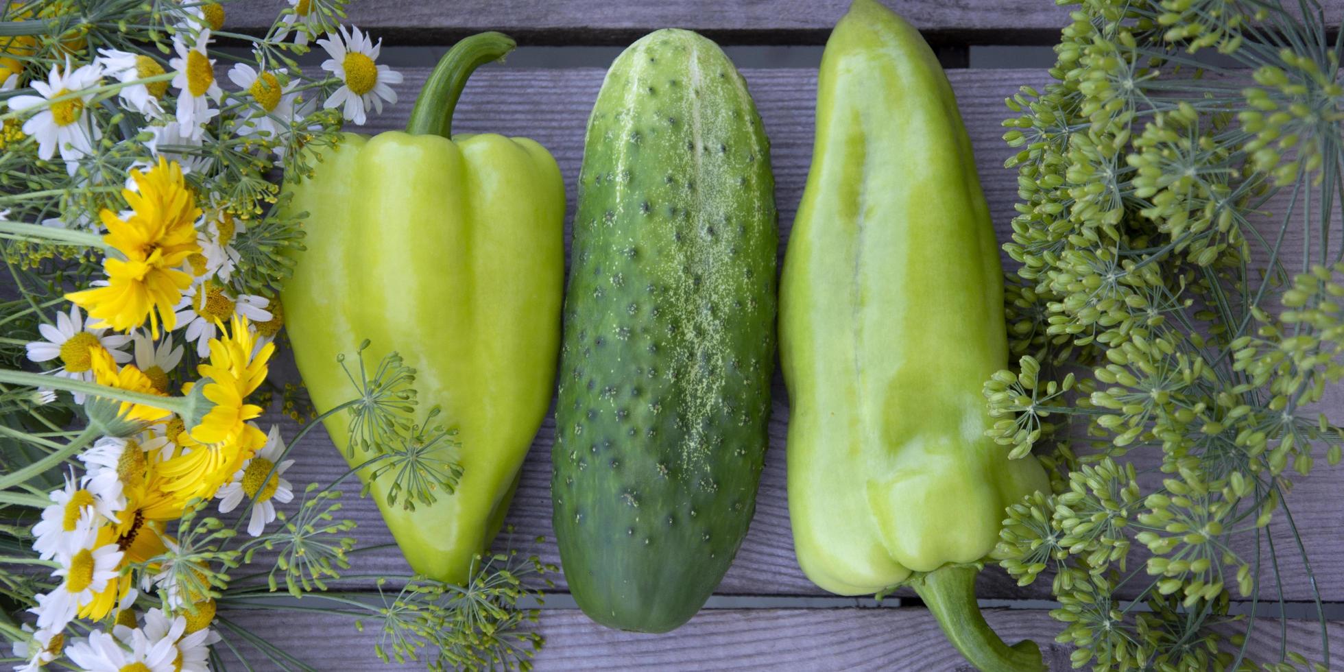 sfondo orizzontale da verdure, fiori ed erbe aromatiche foto