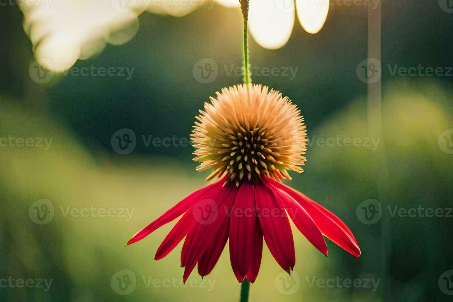 un' rosso fiore con un' verde sfondo. ai-generato foto