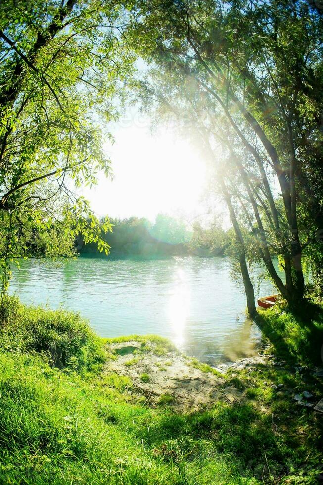 il sole brilla attraverso il alberi su un' fiume foto