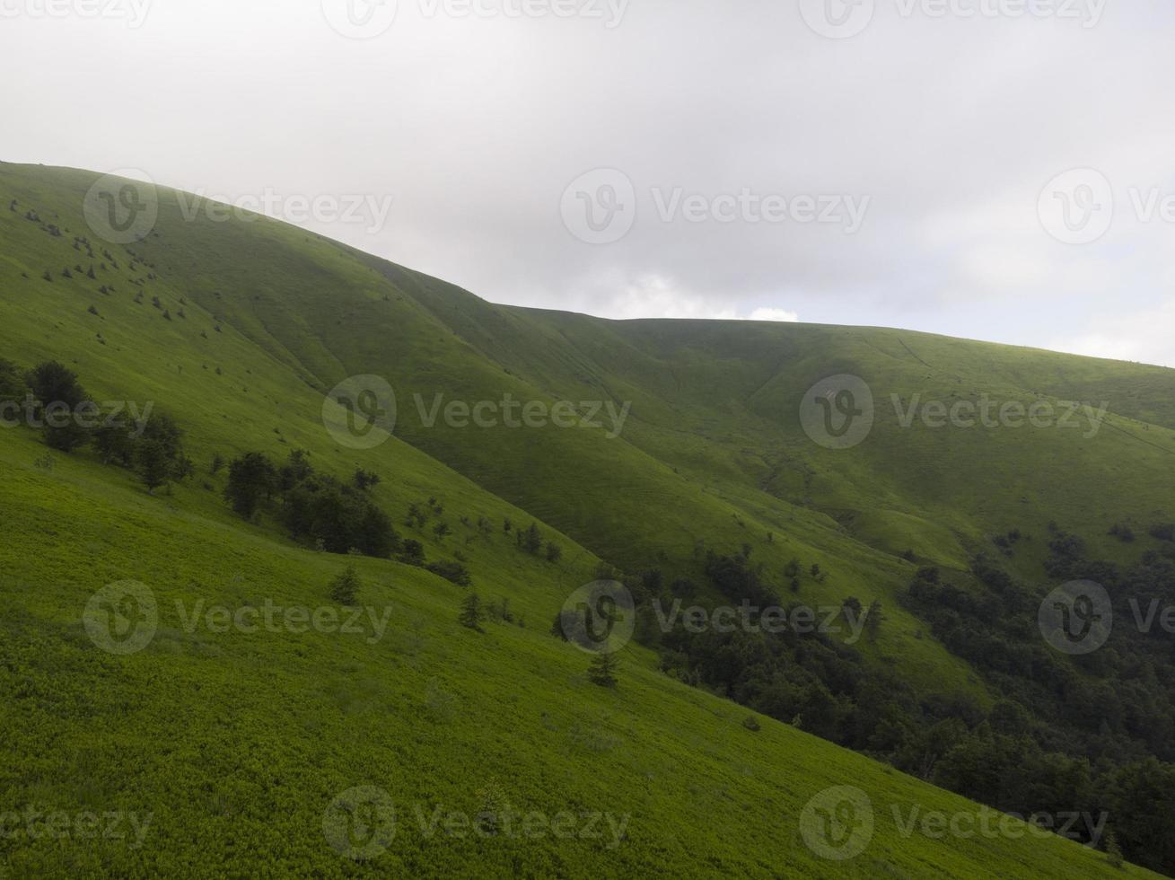 nebbiosa mattina d'estate nelle montagne dei Carpazi foto