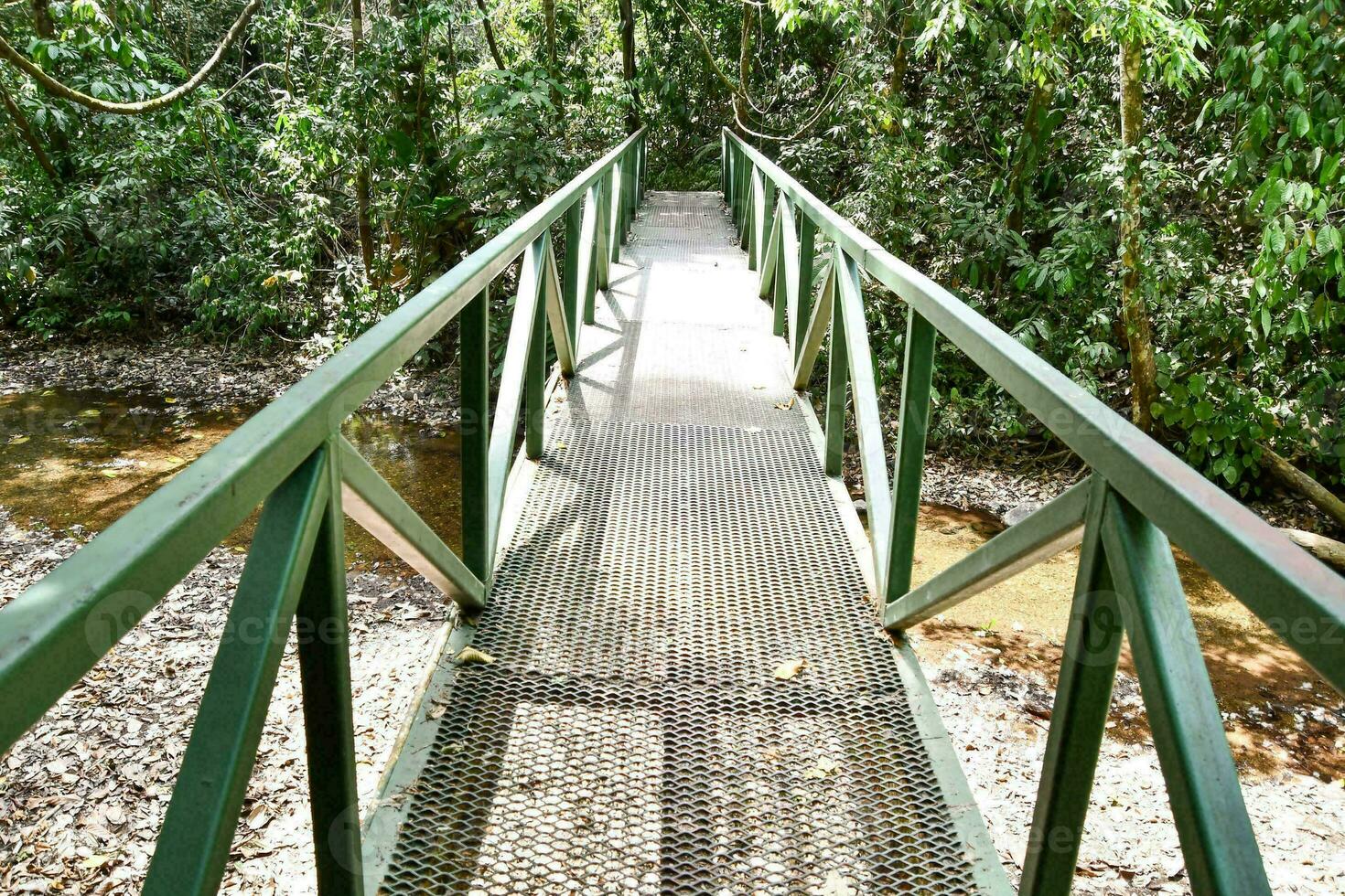 ponte attraverso il foresta foto
