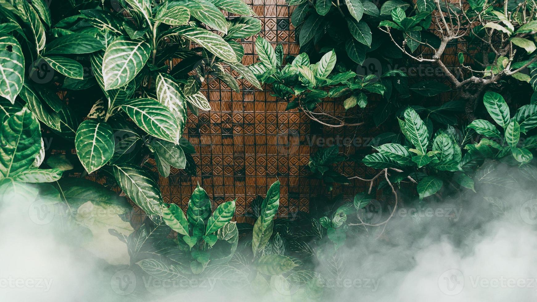 giardino verticale con foglia verde tropicale con nebbia e pioggia foto