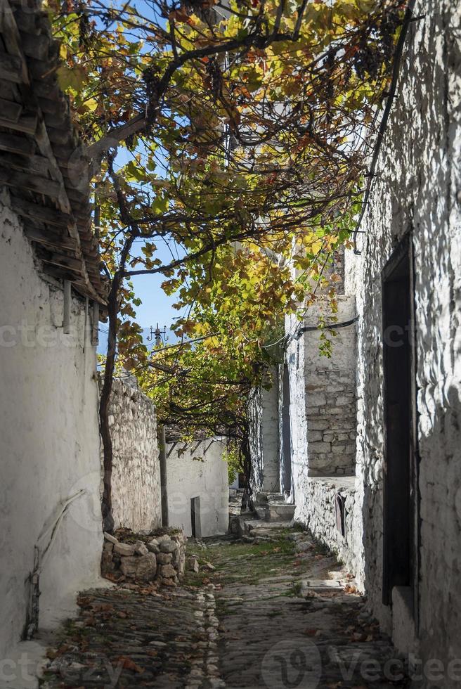 strada acciottolata nel centro storico di berat in albania foto