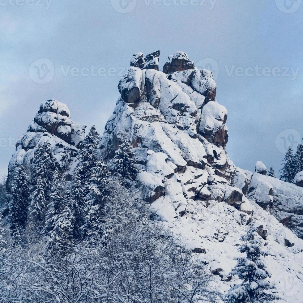 rocce e alberi coperti di neve. gli alberi sono congelati. per lo sfondo foto