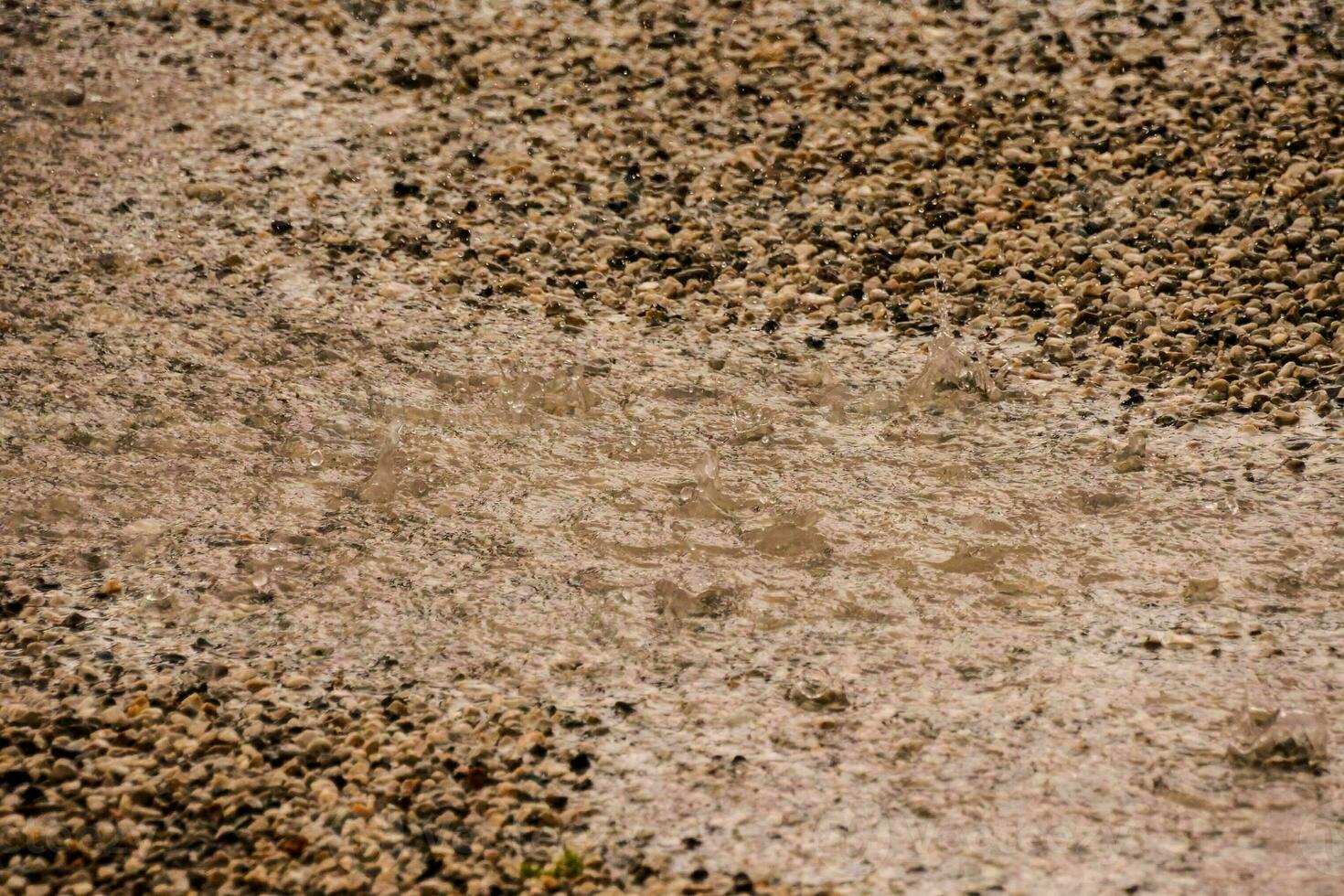 un' vicino su di un' sporco strada con ghiaia foto