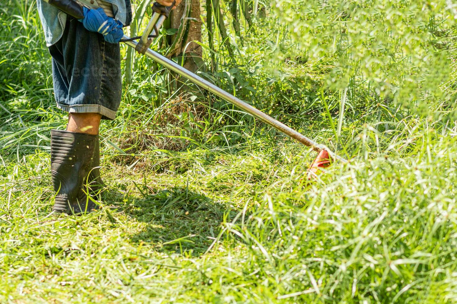 contadino uso falciatura tagliare erba opera all'aperto a giardino estate giorno, uno persona uomo lavoro uso attrezzo clipper a prato foto