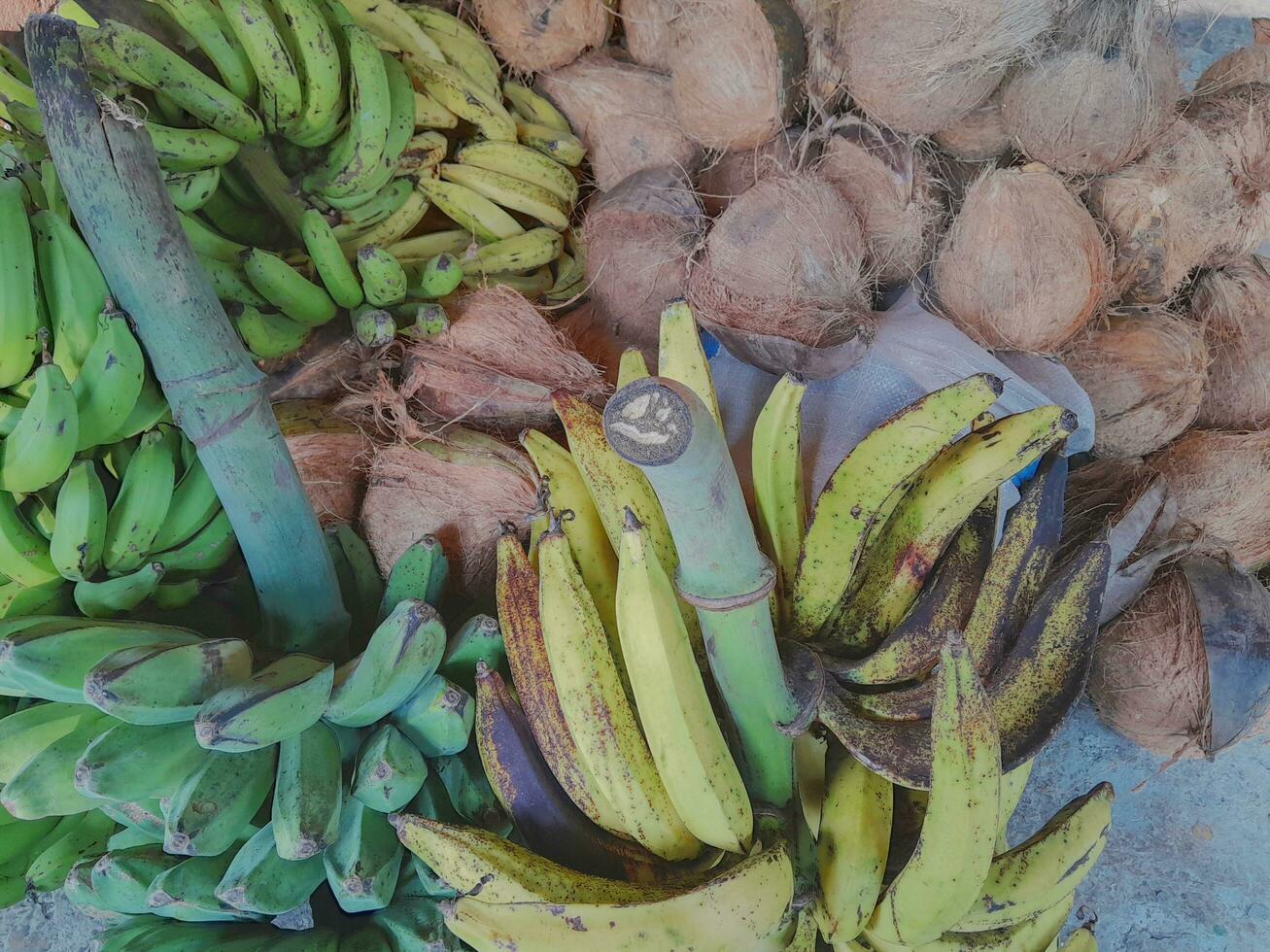 verde banane e cocco io il terra foto