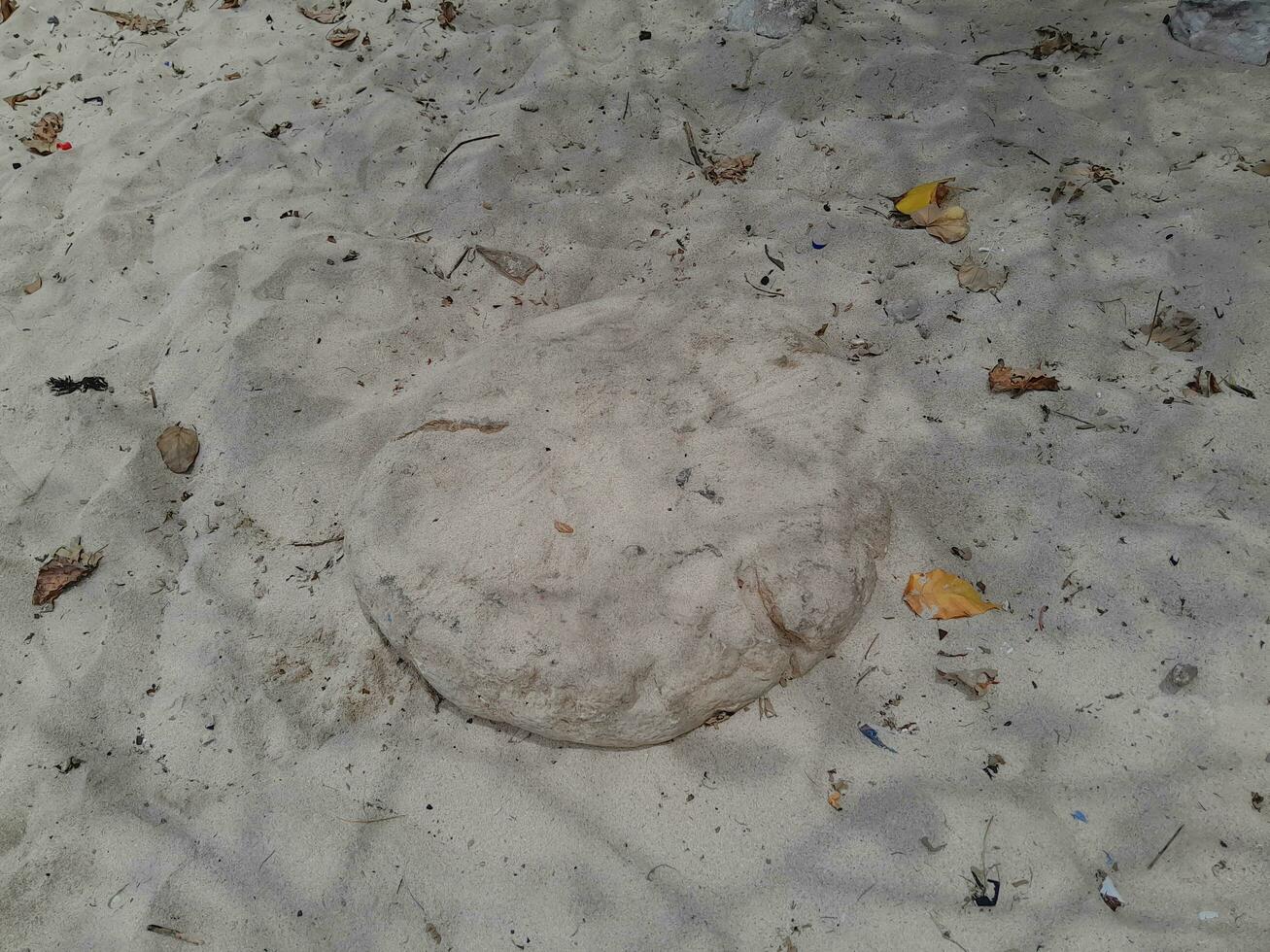 struttura di pietra su il spiaggia a est Giava foto