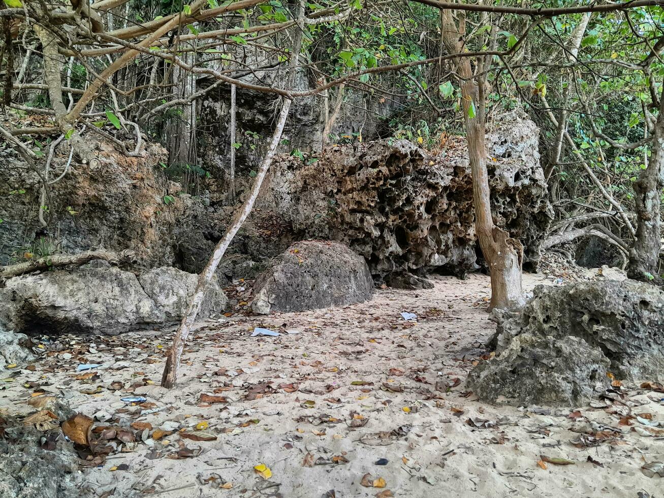 roccia scenario e mare sabbia nel il costiero foto